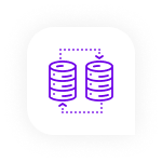 Database Migration